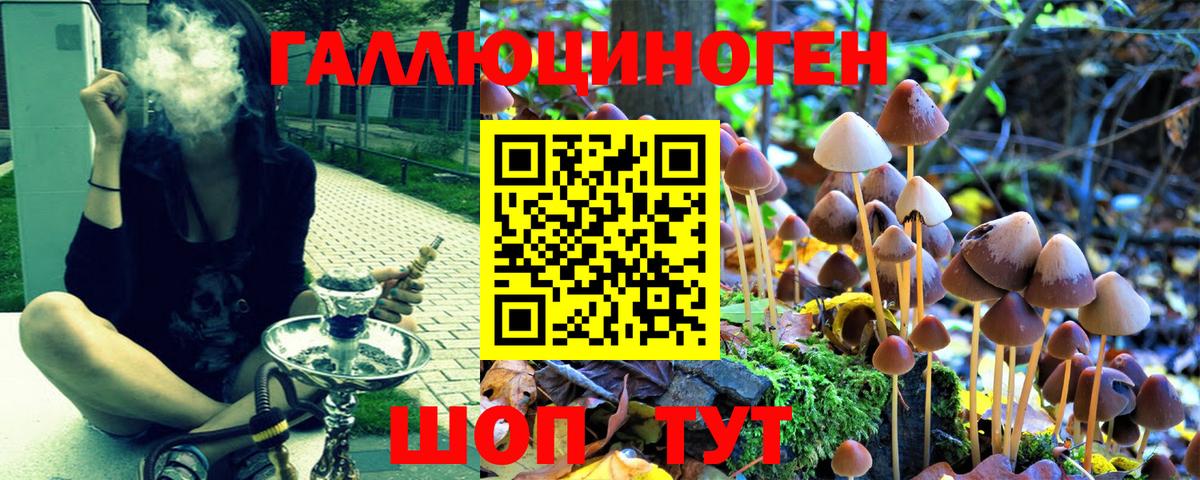 цены   Псилоцибиновые грибы мицелий  Вход с VPN  Северск 